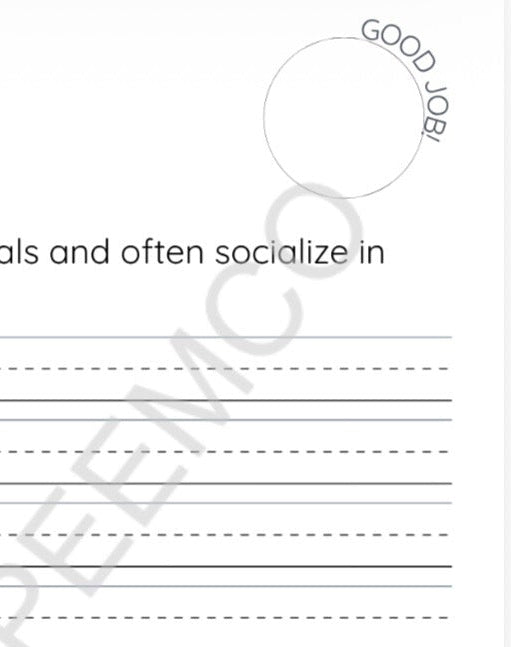 PRE-ORDER Handwriting practice Workbook