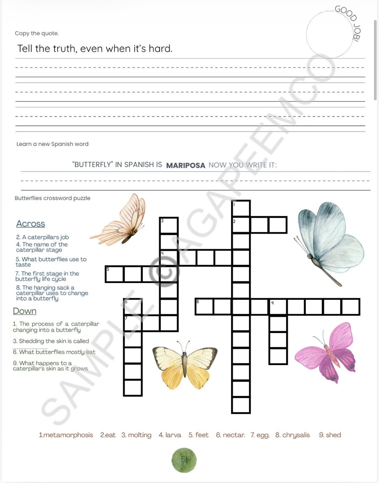PRE-ORDER Handwriting practice Workbook