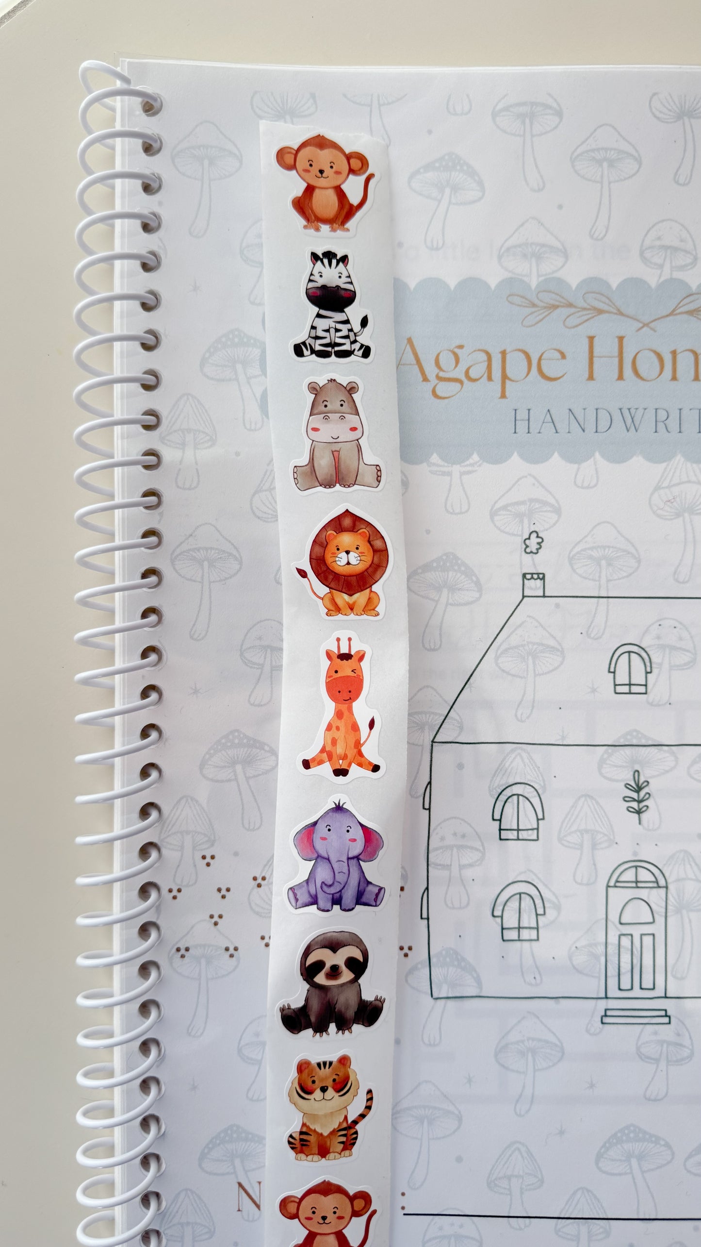 PRE-ORDER Handwriting practice Workbook