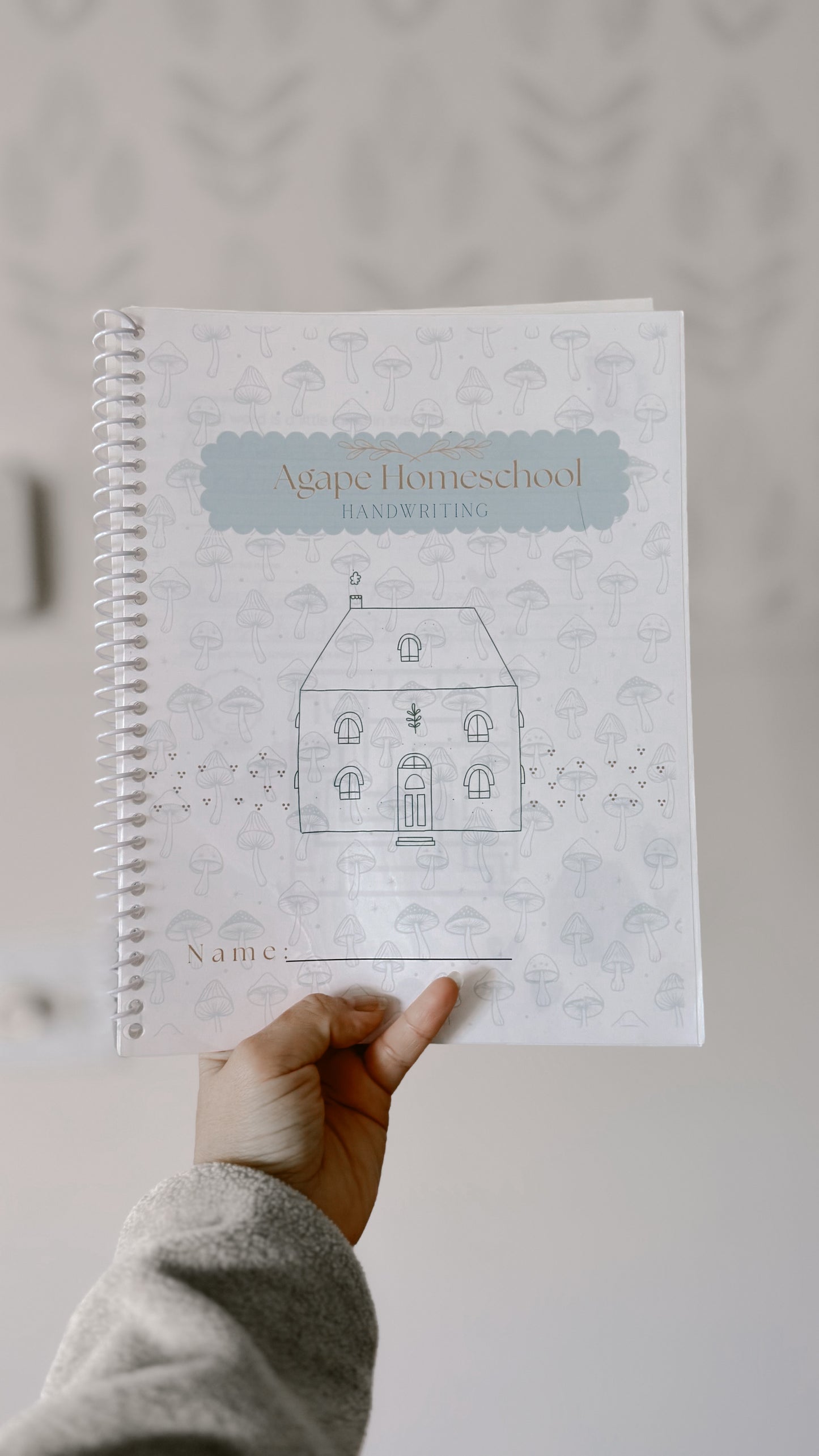 PRE-ORDER Handwriting practice Workbook